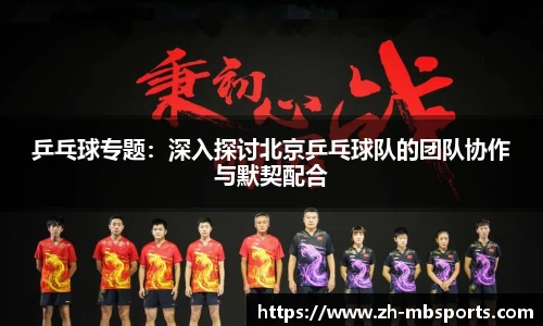 乒乓球专题:深入探讨北京乒乓球队的团队协作与默契配合